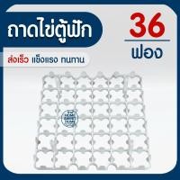 ราคา ถาดไข่ตู้ฟัก 36ฟอง ถาดไข่พลาสติก แผงไข่ ถาด สีขาว เหนียว ทนทาน แข็งแรง ไก่ สัตว์ปีก เลี้ยงไก่ promo (8650498994)