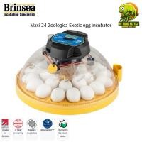 ราคา Brinsea Maxi 24 Zoologica Exotic egg incubator ตู้ฟักไข่สำหรับนกนก Exotic (40426051504)