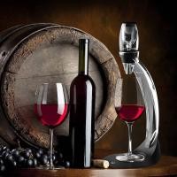 ราคา ชุดกรองกากไวน์+พร้อมขายึดฐาน Decanter อุปกรณ์ Wine Aerator Decanter ใช้สำหรับกรองและรินไวน์ (23519115700)