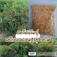 ราคา เมล็ดพันธุ์พริกยอดสน100กรัม329บาท (50607458591)