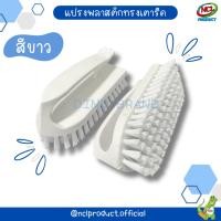 ราคา แปรงทรงเตารีด แปรงทรงเตารีดขนพลาสติก แปรงขัดพื้น Dino Brand (29566082165)