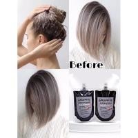 ราคา แพ๊คคู่แชมพูครีมนวด สระนวดทำสีเทา/รักษาสีผม/เติมเม็ดสีผม Graphite setผมไม่แห้งเสีย (1596181911)