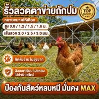 ราคา ยาว 10 เมตร ลวดตาข่ายเหล็กถัก Chain link Fence ช่องตา 2.5 นิ้ว กันสนิม ใช้ล้อมสวน ล้อมไก่ รั้วบ้าน รั้วฟาร์ม (58162367326)