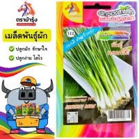 ราคา ขายปลีก เมล็ดพันธุ์ผัก ม้ารุ้ง Z112 ต้นหอม (พันธุ์หอมดี๊ดี) *แพ็ค 5 ซอง* งอกดี ต้นแข็งแรง เมล็ดพันธุ์ หอม เมล็ดพันธุ์ผัก (54500672831)