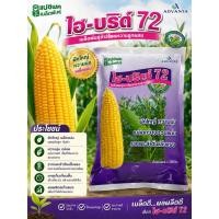 ราคา เมล็ดข้าวโพดหวานลูกผสม ไฮ-บริกซ์72ขนาด1กก. (27708182730)