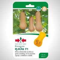 ราคา เมล็ดพันธุ์ ฟักทองบัตเตอร์นัท ถุงเงิน F1 ศรแดง 10 เมล็ด (40682239404)
