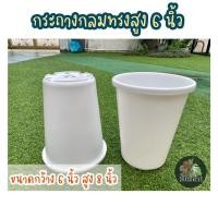 ราคา กระถางไม้กราฟ 6 นิ้ว หนาพิเศษ กระถางทรงกลมสูง กระถางเลี้ยงไม้ตอ (9274271660)