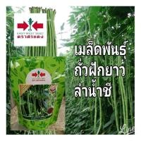 ราคา เมล็ดพันธุ์ถั่วฝักยาวลำน้ำชี 2 ตราศรแดง ขนาด100กรัม (27400816841)