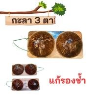 ราคา กะลา 3ตา นวดยืนเหยียบคู่ กะลานวดฝ่าเท้า กดจุด เส้นตึงคลายเส้น แก้ปวดเมื่อย กะลาคู่3ตาแก้รองช้ำ (28653772946)