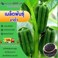 ราคา 5000 เมล็ดเมล็ดพันธุ์งาดำ เมล็ดงาดำ งาดำ วิตามินสูง ไว้ปลูกต้นใช้สกัดน้ำมัน (28331811989)