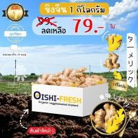 ราคา Oishi-Freshขิงแก่ ปลอดสารพิษ 1 กก. รสชาติกรอบ สด ใหม่ ใยอาหารสูง หวานออร์แกนิค ผัก เคลมได้ 1-2 วัน (28123357803)