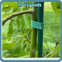 ราคา MOILYHD 5/10 M เทปพืช, ปรับ 10 มม. สีเขียว Garden Tie, Ties พืชนํากลับมาใช้ใหม่รองรับไม้ไผ่ Cane Wrap (52058220285)