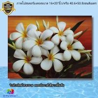 ราคา ภาพโปสเตอร์ดอกลีลาวดี สีขาวพื้นส้ม ขนาด 16×20"นิ้ว (21606766343)