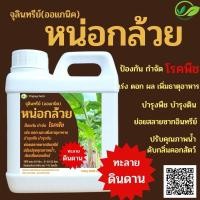 ราคา จุลินทรีย์หน่อกล้วย เข้มข้น‼️นำไปขยายต่อได้ค่ะ 1ลิตร (28557480687)