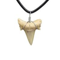 ราคา โมร็อกโก Shark Tooth Fossil โบราณ Biological Fossil ปลาฟัน Fossil ตัวอย่างจี้สร้อยคอ (55958158455)