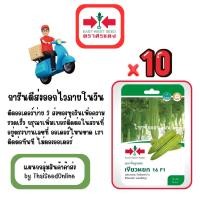 ราคา GG x 10 เมล็ดผักซองศรแดง เขียวหยก มะระจีน สินค้ายกแพ็ค (41311296143)