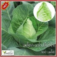 ราคา 100 เมล็ด กะหล่ำปลีรูปหัวใจ เมล็ดกะหล่ำปลีรูปหัวใจ กะหล่ำปลี เมล็ดกะหล่ำปลี (28933426273)
