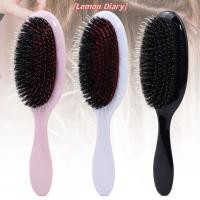 ราคา แอลดี| 1PC Oval Boar Bristle & Nylon Hairb Mini Anti-static Hair Scalp Massageb Hairbrush Salon แปรงผมเครื่องมือจัดแต่งทรงผมใหม่ (53415004812)