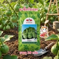 ราคา หยาดทิพย์ เมล็ดพันธุ์มะเขือเปราะลูกผสม ตราศรแดง (สิ้นอายุ02/71) บรรจุ20กรัม/ซอง (27813904497)