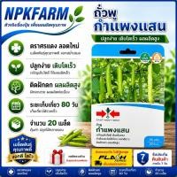 ราคา ศรแดง ถั่วพู กำแพงแสน [จำนวน 20 เมล็ด/ ซอง ] หมดอายุ09/01/2571 เมล็ดพันธุ์ ลอตใหม่ เติบโตเร็ว (29727839321)
