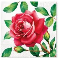 ราคา MAWAR ขายส่งทิชชู่ Decoupage - 33x33 ซม. - Rose TL700600 (26193031774)