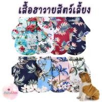 ราคา เสื้อฮาวายสัตว์เลี้ยง Hawaii Pet Shirt เสื้อฮาวายแมว หมา แมว เสื้อเชิ้ตสุนัข (12577897423)
