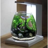 ราคา ตู้ปลา gex glass aqua perco ตู้ปลาอัจฉริยะ. (44304304058)