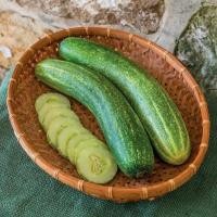 ราคา 30 เมล็ด แตงกวา แตงขี้ไก่ แตงปี แตงร้าน Non-GMO Cucumber Seeds สายพันธุ์ Chompers (28642547407)
