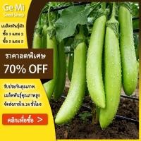 ราคา GEMI [ ซื้อ 5 แถม 5 ฟรี] เมล็ดพันธุ์ สีเขียว เมล็ดมะเขือยาว 300 มล็ด งอกดี ปลูกง่าย โตไว ผลผลิตสูง (53354996606)