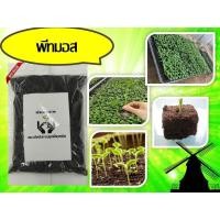ราคา Peat Moss พีชมอส พีทมอส วัสดุปลูก ดินเพาะกล้า เพาะเมล็ด วัสดุปลูกสูตรสำเร็จ ดินปลูกต้นไม้ ดินสำเร็จรูป วัสดุเพาะกล้า ต้น (6531363976)