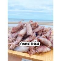 ราคา กระตอยต้ม ปลาหมึกแห้ง ปลาหมึกตากแห้ง อาหารทะเลแห้ง อาหารทะเลแปรรูป - Pailin seafood (13512139550)