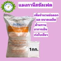ราคา แมงกานีสซัลเฟต 32% Manganese Sulfate Monohydrate สังเคาระห์แสง บำรุงใบ บรรจุ 1 กิโลกรัม (19457037524)