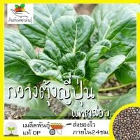 ราคา เมล็ดพันธุ์ กวางตุ้งญี่ปุ่น แทตฉ่อย 150 เมล็ด Tatsoi seed เมล็ดพันธุ์แท้ นำเข้าจากต่างประเทศ ปลูกผัก สวนครัว โตไว (29505118085)