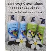 ราคา แชมพู4YL ลดร่วง ลดหงอก เร่งงอก สมุนไพรแท้100% (13817076976)