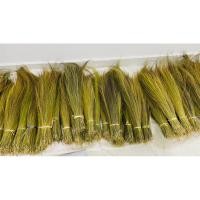 ราคา ดอกแขม ดอกหญ้า ไม้กวาด 1 kg (12699368916)