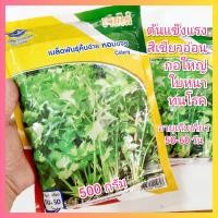 ราคา เมล็ดพันธุ์คื่นฉ่าย หอมขจร 500 กรัม ตราเจียไต๋ คื่นฉ่ายหอมขจร (27120539652)