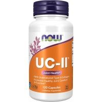 ราคา NOW Foods Supplements, UC-II Type II Collagen with Undenatured Type II Collagen, 120 Veg Capsules (52763775845)