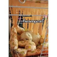 ราคา ที่นอนหนูแกสบี้หนูตะเภา️กระรอกชูกาชินชิลล่า (23545665353)