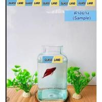 ราคา โหลเหลี่ยมปลากัดแบบทรงสั้น ( พร้อมส่ง 1200 ml เกรดรวม งานแก้วเป่าจ้า ) โหลฟอร์มปลากัด เลี้ยงปลา จัดสวนแก้ว สวนในขวด (28561383779)