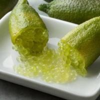 ราคา ต้นมะนาวนิ้วมือ มะนาวคาเวียร์ Finger lime พันธุ์ GREEN CRYSTAL ลำต้นสูง 30 ซม (9970273518)