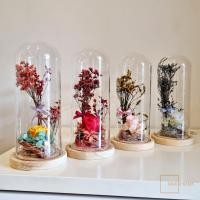 ราคา ดอกกุหลาบ ดอกไม้ กุหลาบในโหลแก้ว กุหลาบ ดอกไม้ในโหลแก้ว PRESERVED ROSE กุหลาบอมตะ ETERNAL ROSE ดอกไม้แทนความทรงจำ (21872562341)