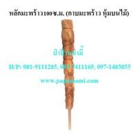 ราคา (10อัน) หลักมะพร้าว ยาว 100ซม. หลักไม้เลื้อยกาบมะพร้าว เสาไม้เลื้อย เสาต้นไม้ หลักมะพร้าว หลักกาบมะพร้าว หลักไม้เลื้อยมะ (12473632282)
