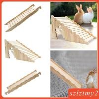 ราคา [Szlztmy2] บันไดหนูแฮมสเตอร์ไม้, สะพานหนูแฮมสเตอร์แคระ, ของเล่นหนูที่อยู่อาศัย, ทางลาดสําหรับกระต่ายฮัทช์, สะพานบันไดไม้สําหรับหนูแฮมส (54162066213)