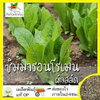 ราคา เมล็ดพันธุ์ ผักสลัด ซิมมารอนโรเมน 1000 เมล็ด Cimmaron Romaine Lettuce เมล็ดพันธุ์แท้ นำเข้าจากต่างประเทศ ปลูกผัก สวนครัว (19724062517)