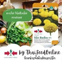 ราคา GGEW เมล็ดพันธุ์ซฟ ดาวเรืองต้นเตี้ย ดาวเรืองวีนัสสีเหลือง ตราศรแดง Marigold เมล็ดดอกไม้ (475210294)