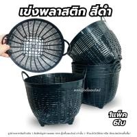 ราคา เข่งพลาสติก สีดำเบอร์7 เข่งใส่ของ เข่งปลูกต้นไม้ แพ็คละ6ใบ ตะกร้าพลาสติก มีหูหิ้ว ใช้งานอเนกประสงค์ (57707908048)