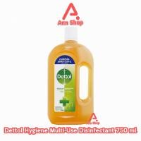 ราคา Dettol 750 มล. [1 ขวด] KK 2105 เดทตอล น้ำยาทำความสะอาดพื้นผิว น้ำยาฆ่าเชื้อโรค เอนกประสงค์ (21489213502)