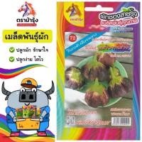 ราคา ขายปลีก เมล็ดพันธุ์ ผัก *แพ็ค5ซอง*ตราม้ารุ้ง Z072 มะเขือจานม่วง เมล็ดพันธุ์ เมล็ดผัก ผักซอง ม้ารุ้ง ผักสวนครัว (51050101797)