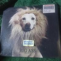ราคา cd bigass album the lion สินค้าลิขสิทธิ์แท้ใหม่ มือ1ในซีล (27662592678)
