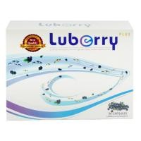 ราคา Luberry plus 30 capsules ลูเบอร์รี่ พลัส ผลิตภัณฑ์เสริมอาหารสารสกัดบิลเบอรรี่บำรุงสายตา (24031915415)